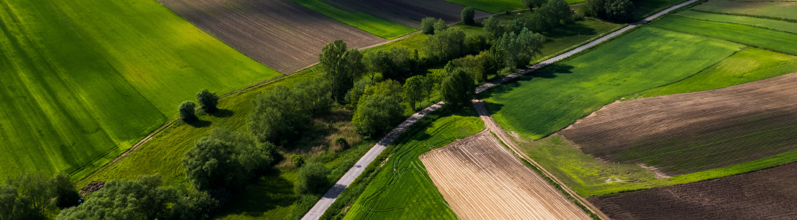 Ground Lease Fundamentals Rural Land Development Image for The CCIM Institute Course